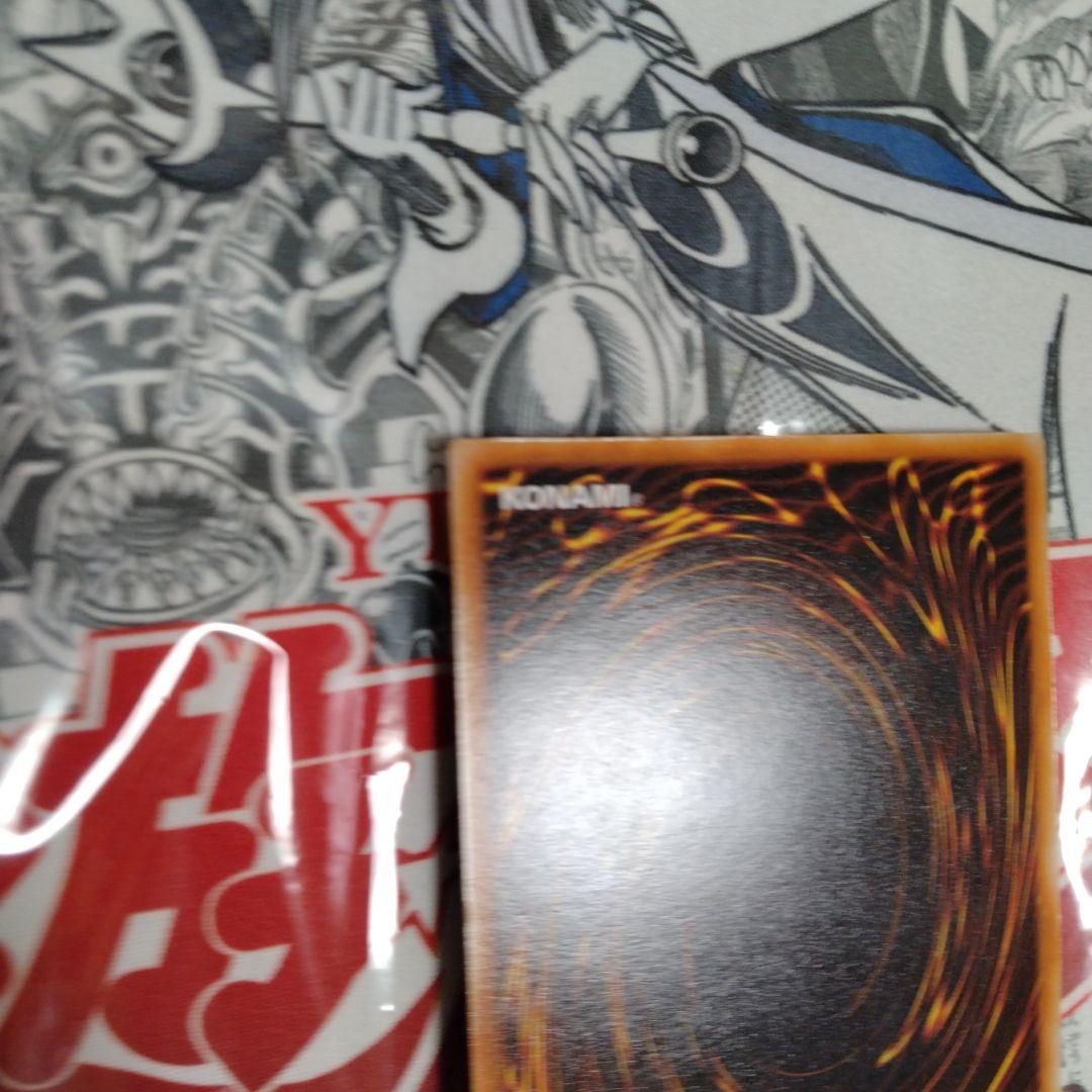 エラーカード　ニスズレ　暗黒騎士ガイア　遊戯王　初期