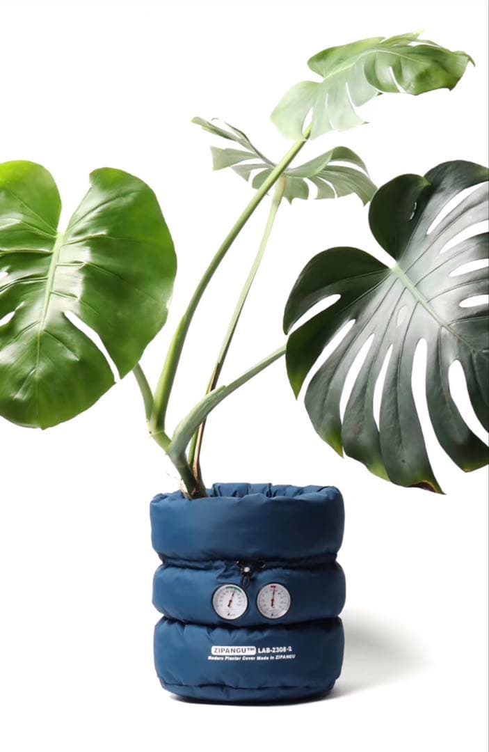 鉢・プランター latte