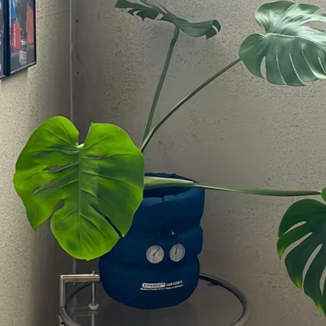 鉢・プランター latte