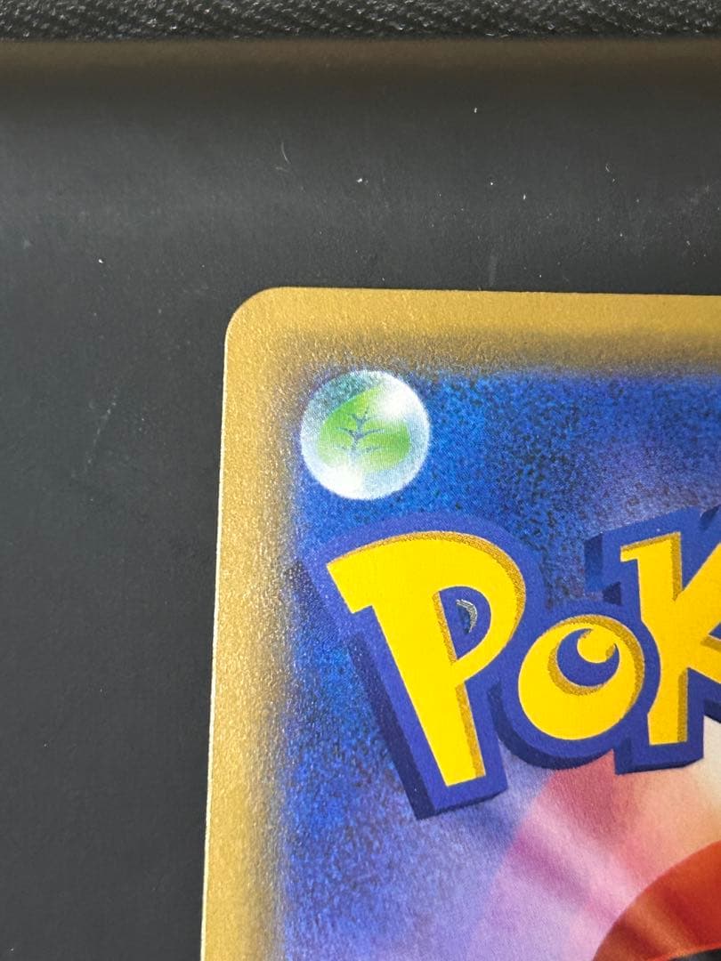 海で遊ぶピカチュウ　My251ポケモンセンター真夏のピカピカ大作戦