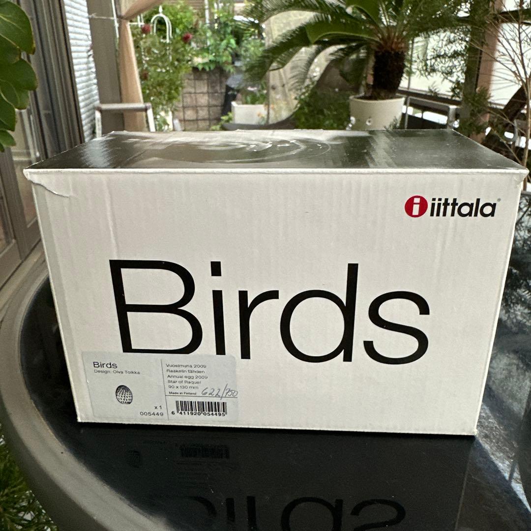  オイバトイッカ　ヌータヤルヴィ　RAQUEL 2009 egg