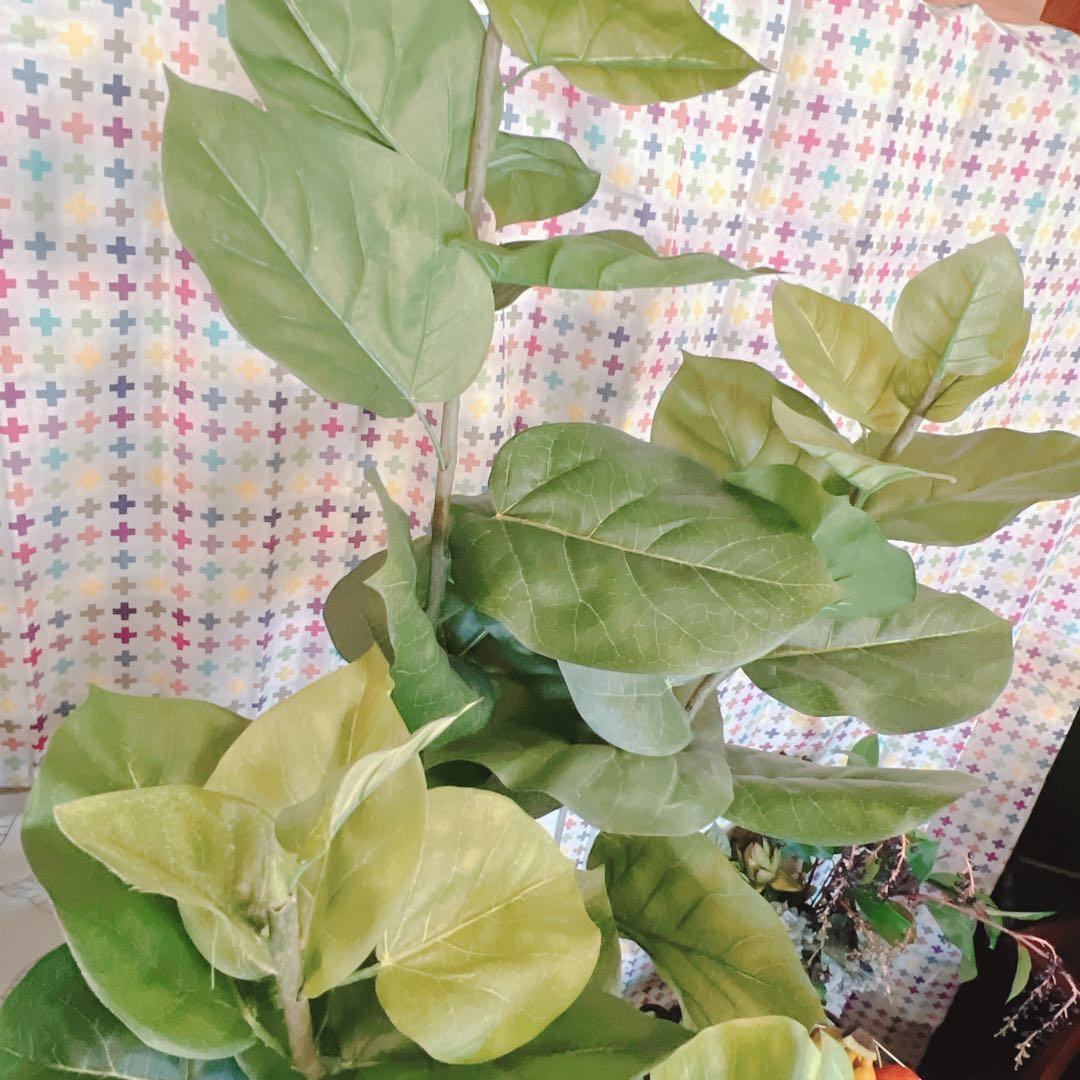 人工観葉植物　フェイクグリーン