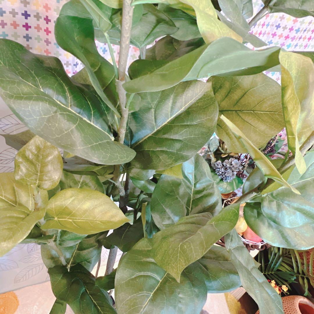 人工観葉植物　フェイクグリーン