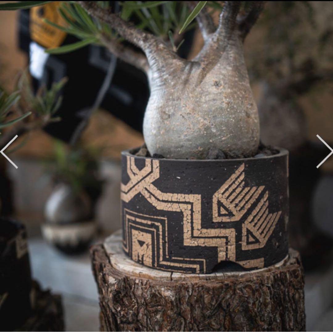 SEN鉢　oldmountain × BOTANIZE GOUJIN キャメル