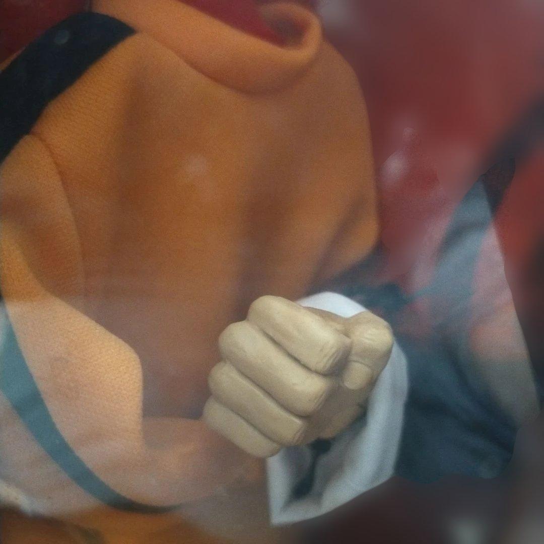 ASYLUM ブルース・リー アクションフィギュア