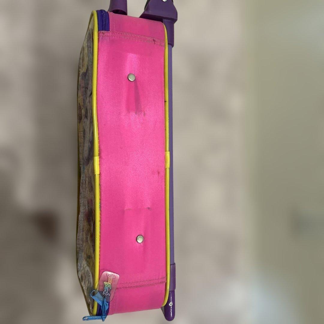 限定セールリサフランク バッグ 猫 ひまわり 90ヴィンテージ レア