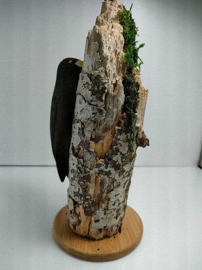 クマゲラ　バードカービング