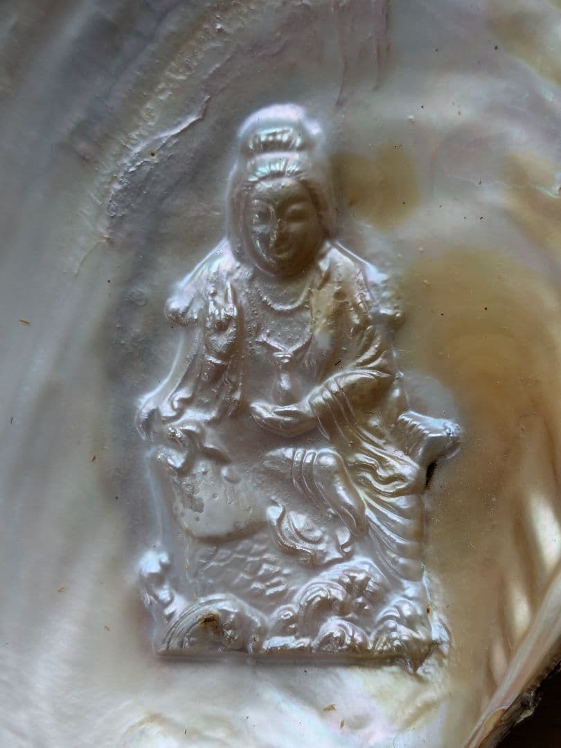 仏像真珠／淡水パール母貝 no.109