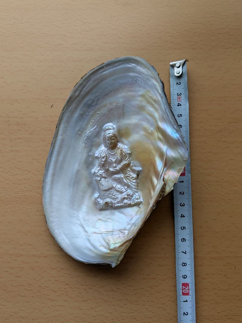 仏像真珠／淡水パール母貝 no.109