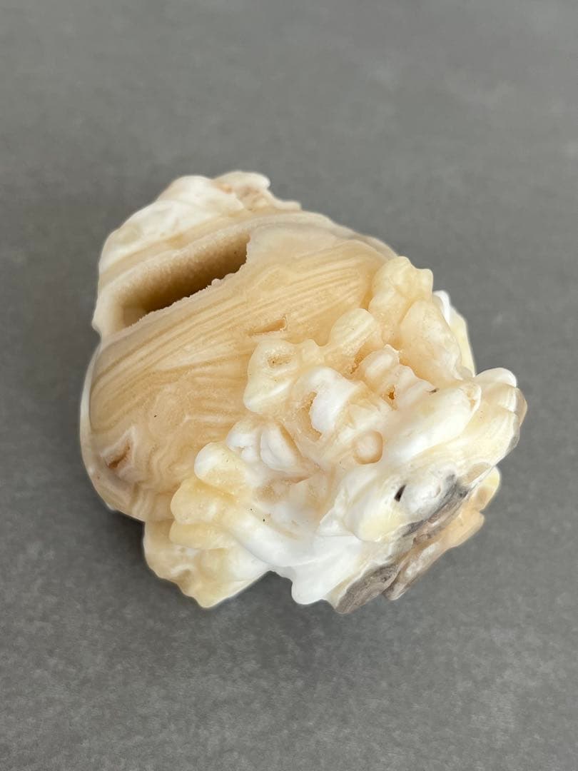 ✳︎くーぽー✳︎ハニーカルサイト　ピンクカリビアン　ヘミモル　ロングイセット