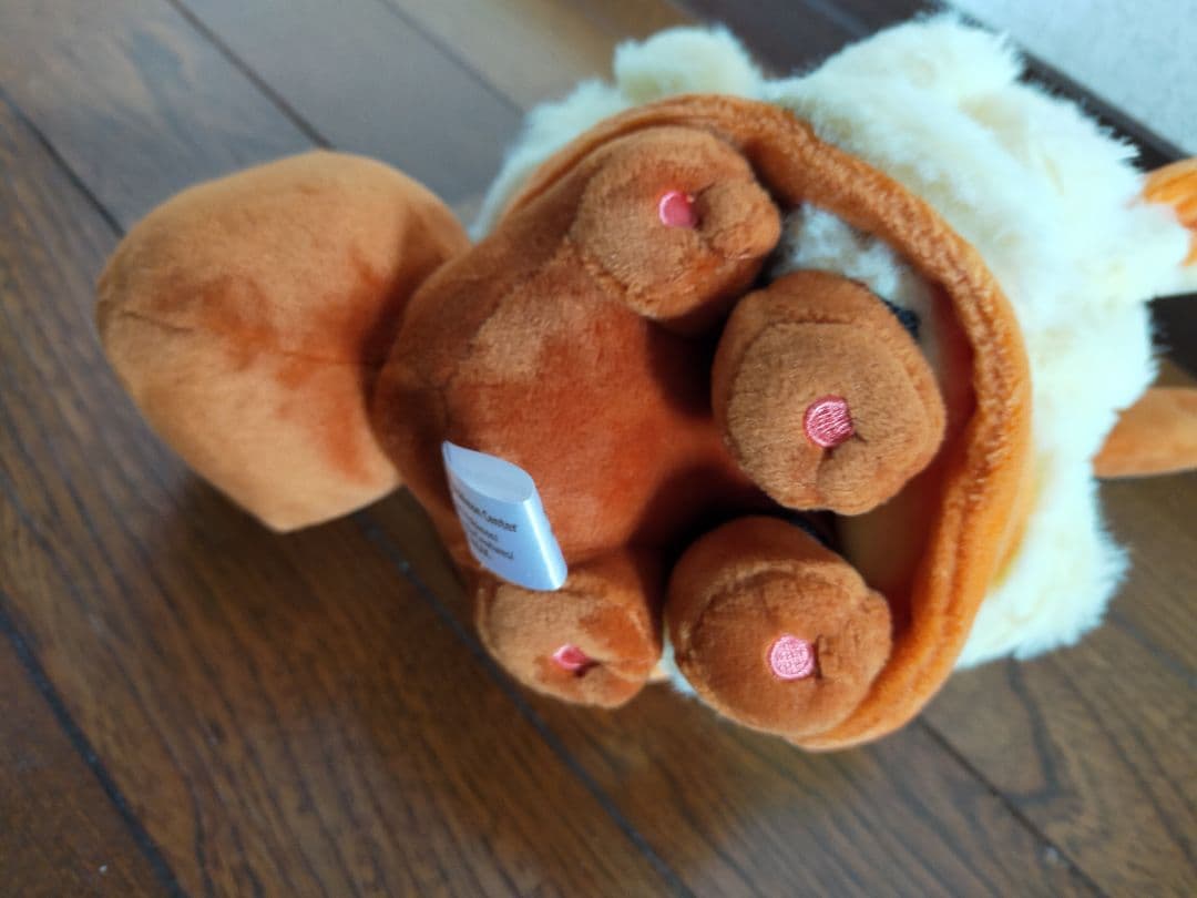 沖縄限定 シーサー イーブイ ぬいぐるみ