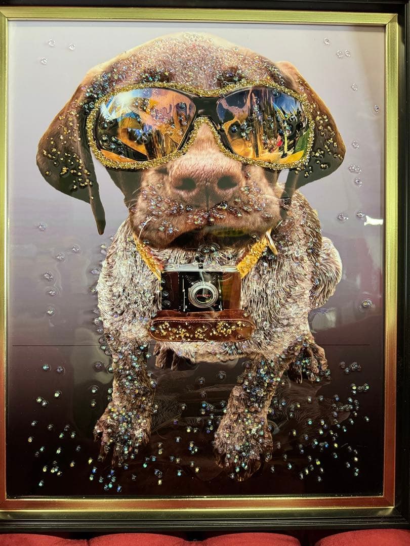 クリスタルピクチャー　パパラッチ