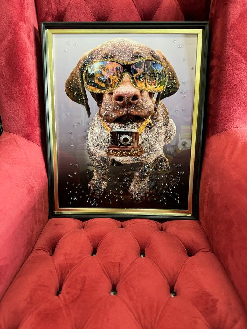 クリスタルピクチャー　パパラッチ