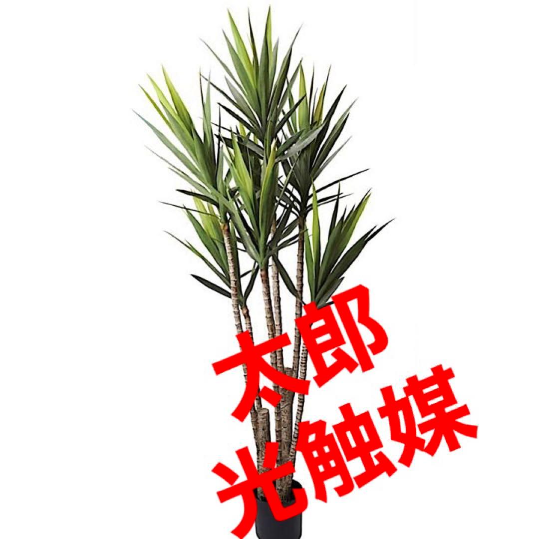 光触媒　人工観葉植物　ウォールグリーン　フェイクグリーン　ユッカツリーgj
