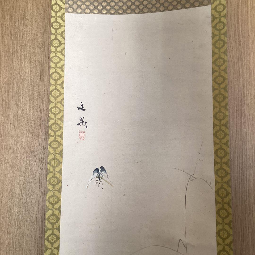 谷文晁　遠坂文雍　師弟合作　《　猫　に　蝶　図　》　紙本掛軸　落款印　参照下さい