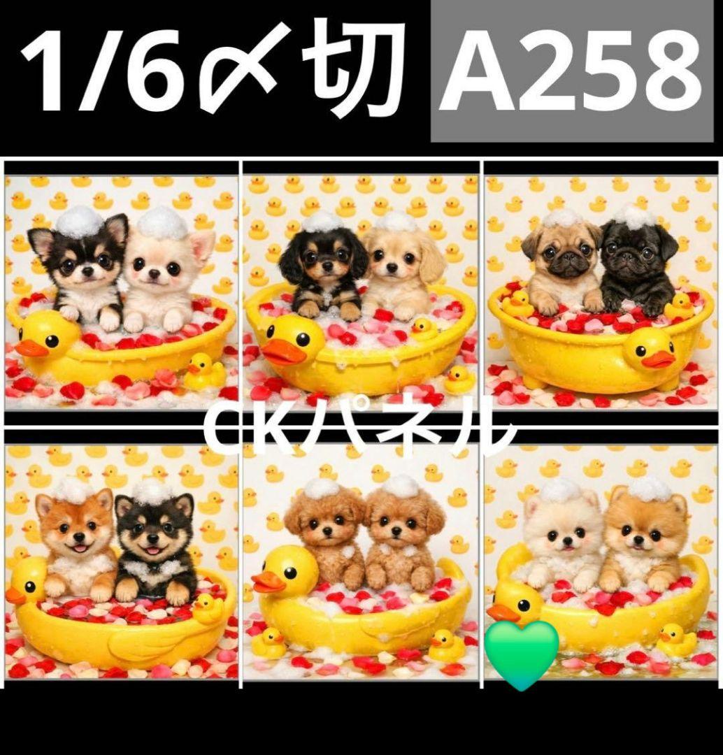 ピーチ様御確認用