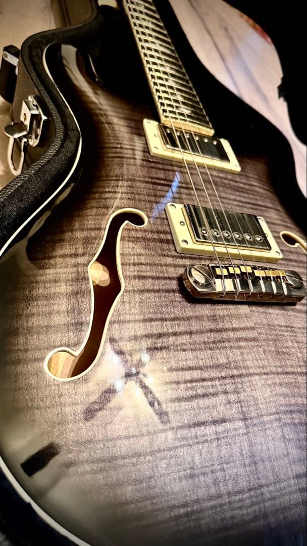 【ハードケース付き】PRS SE Hollowbody II