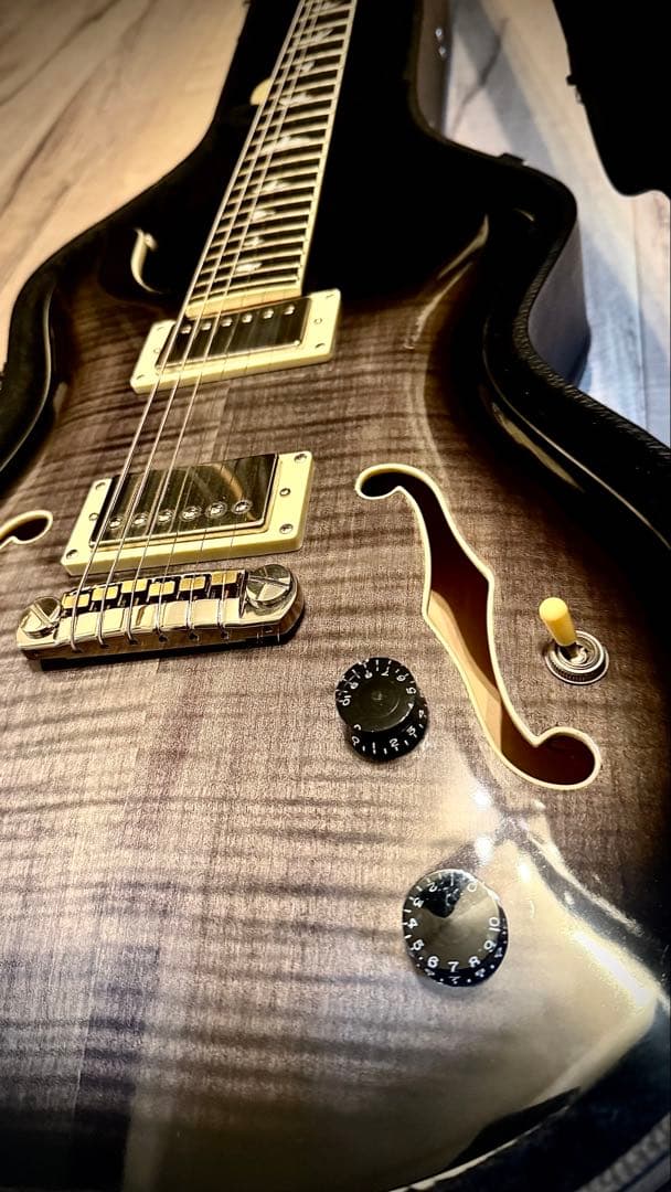 【ハードケース付き】PRS SE Hollowbody II