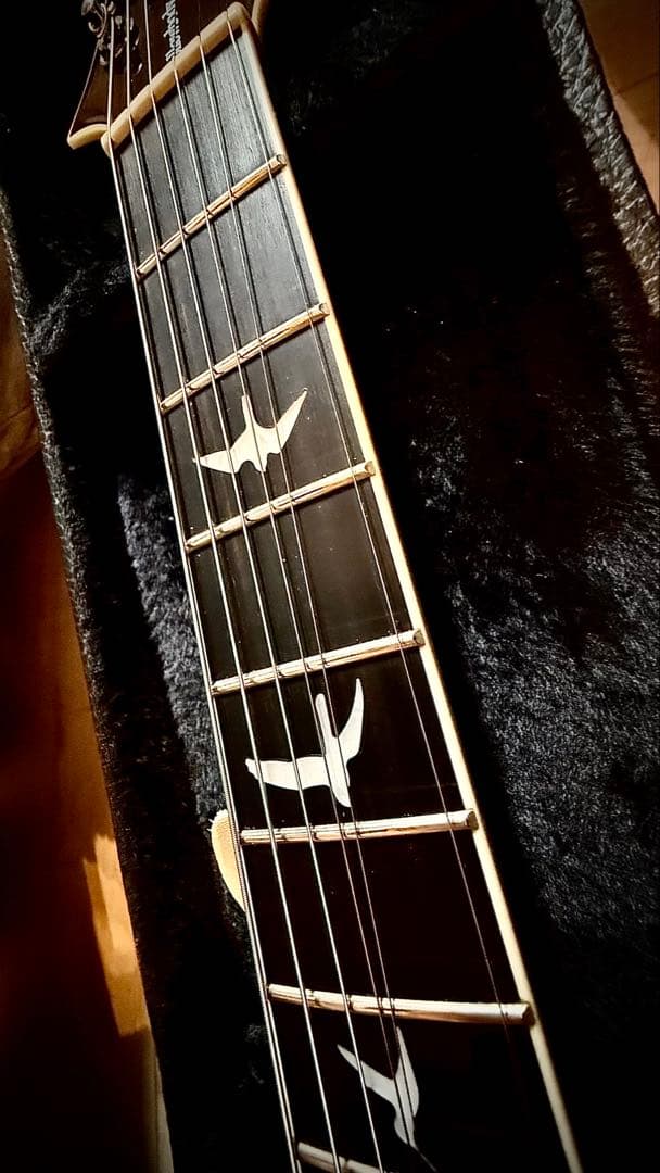 【ハードケース付き】PRS SE Hollowbody II