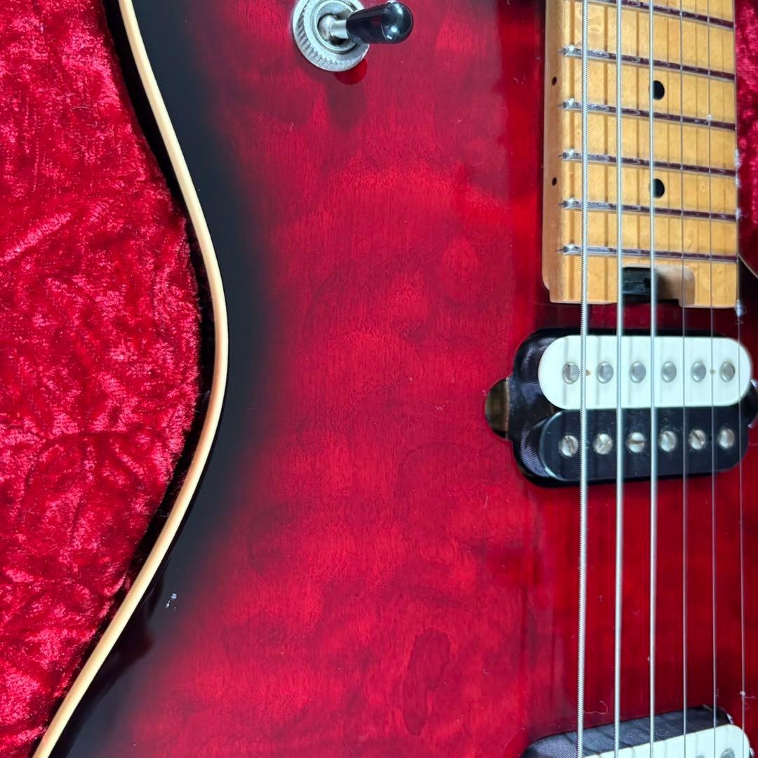 EVH「Wolfgang Special」
