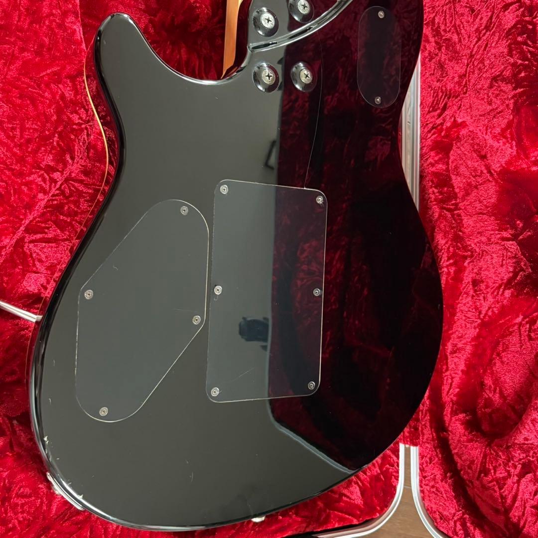 EVH「Wolfgang Special」