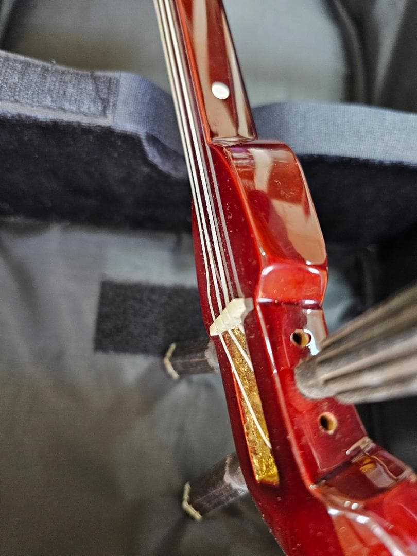 沖縄 三線　蛇皮 ソフトケース、ツメ付き 強化