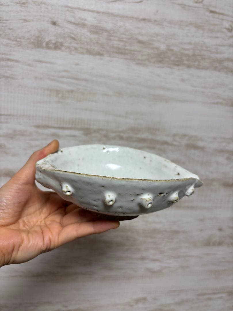 大華山鳥雲窯 納富鳥雲 萩焼 鮑形 向付 片口 鉢 小鉢 白萩 白釉 貝形