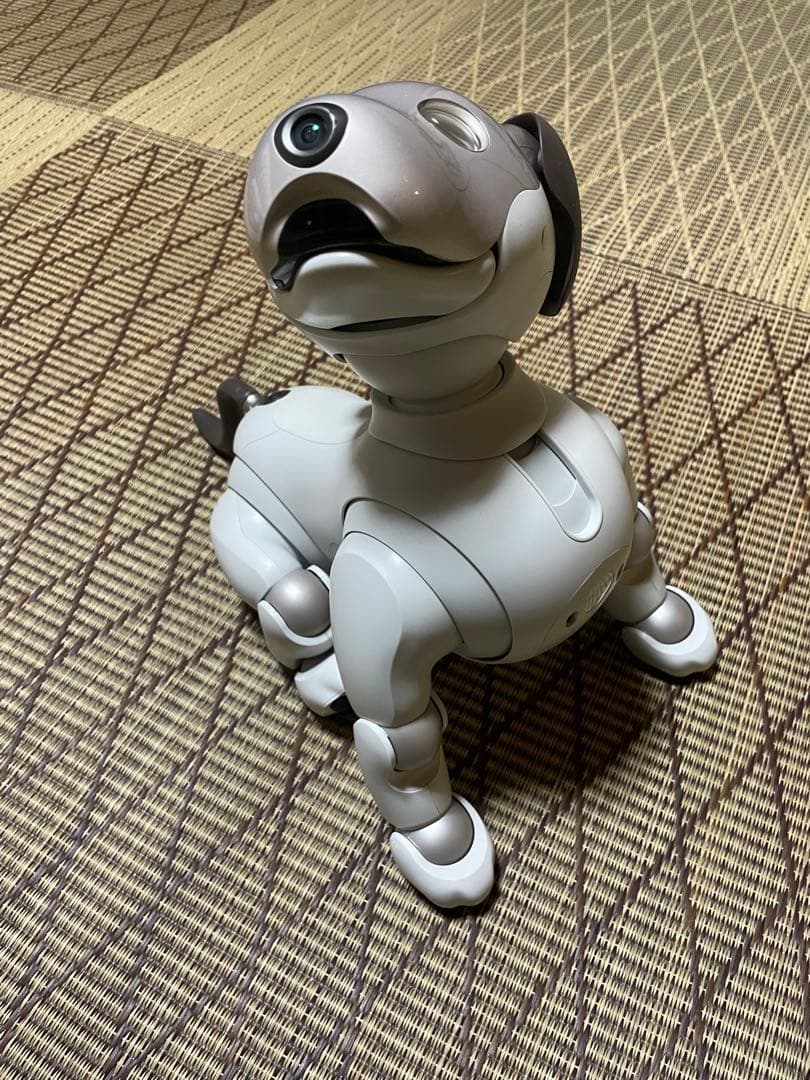 Sony aibo ERS-1000 aibo（アイボ）