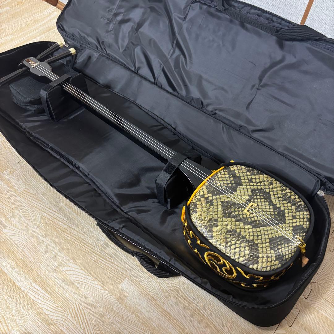 沖縄三線 人工皮 蛇柄 弦楽器 教本 バチ ケース付き 入門　初心者向