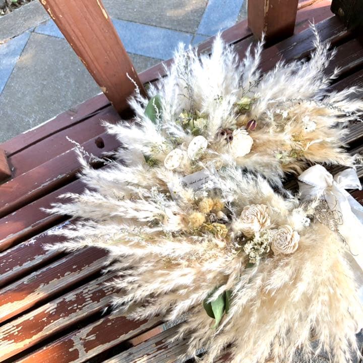 パンパスリース