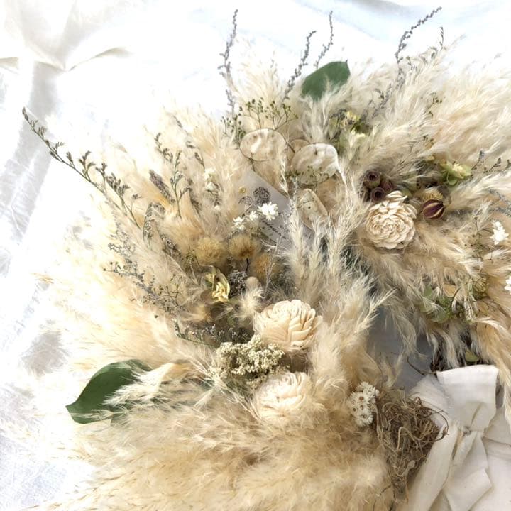 パンパスリース