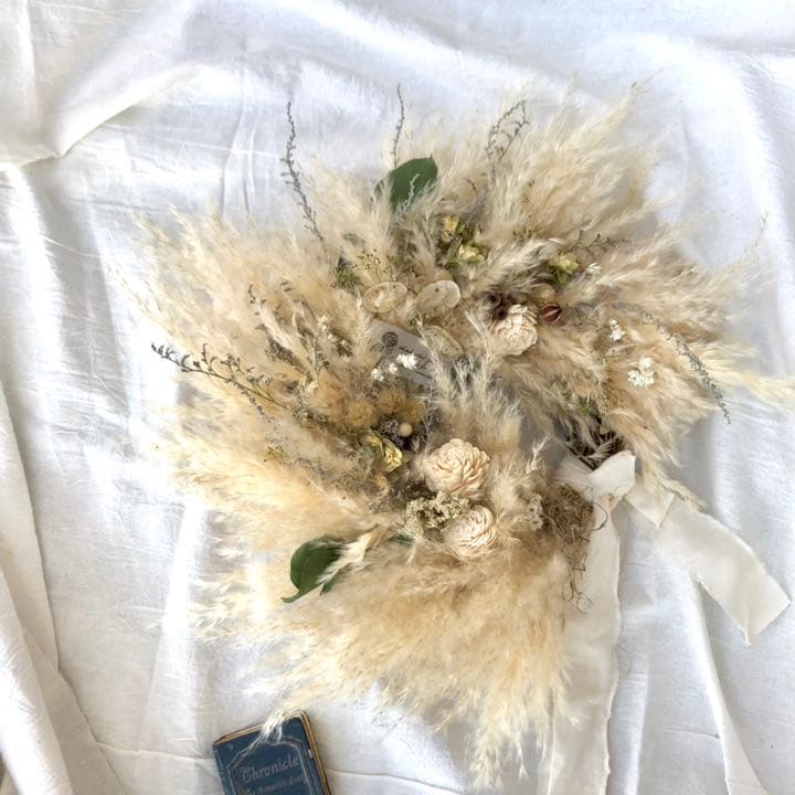 パンパスリース