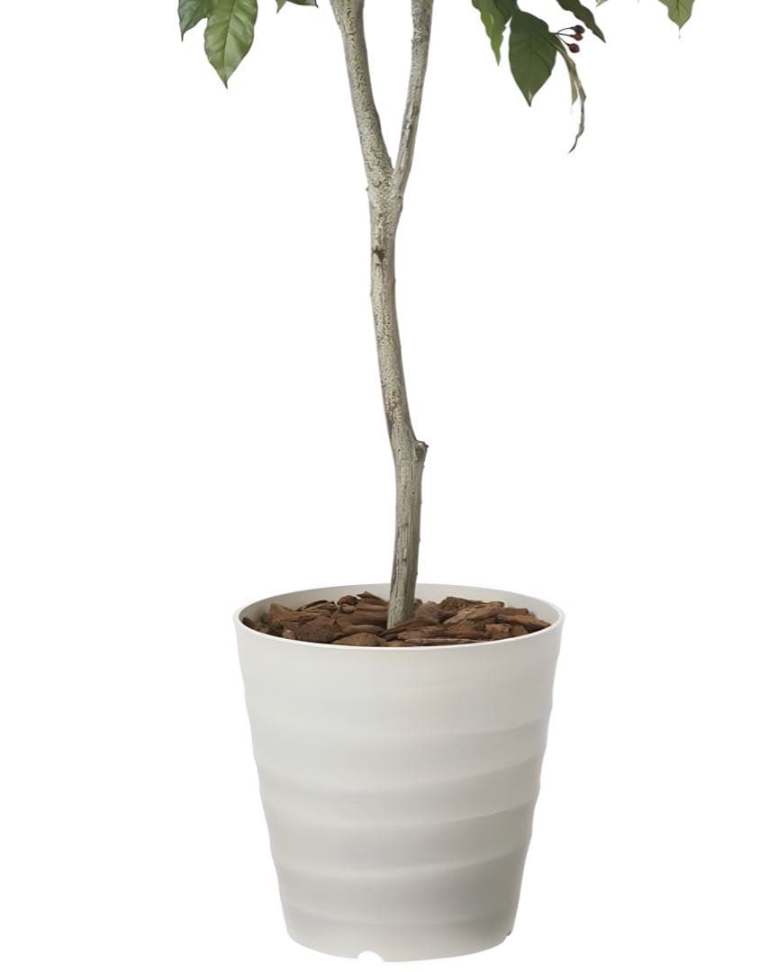 光触媒　人工観葉植物　ウォールグリーン　フェイクグリーン　コーヒーツリー180