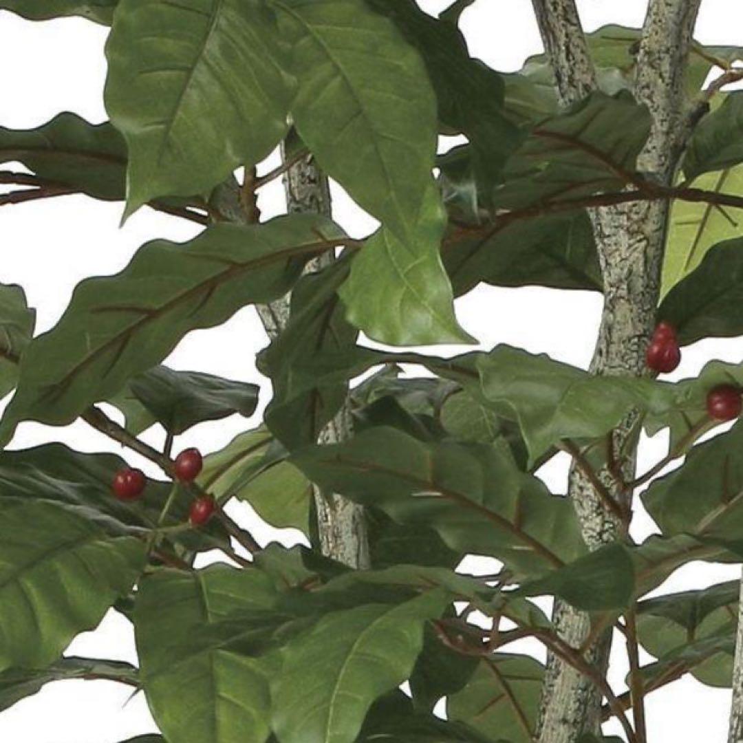 光触媒　人工観葉植物　ウォールグリーン　フェイクグリーン　コーヒーツリー180