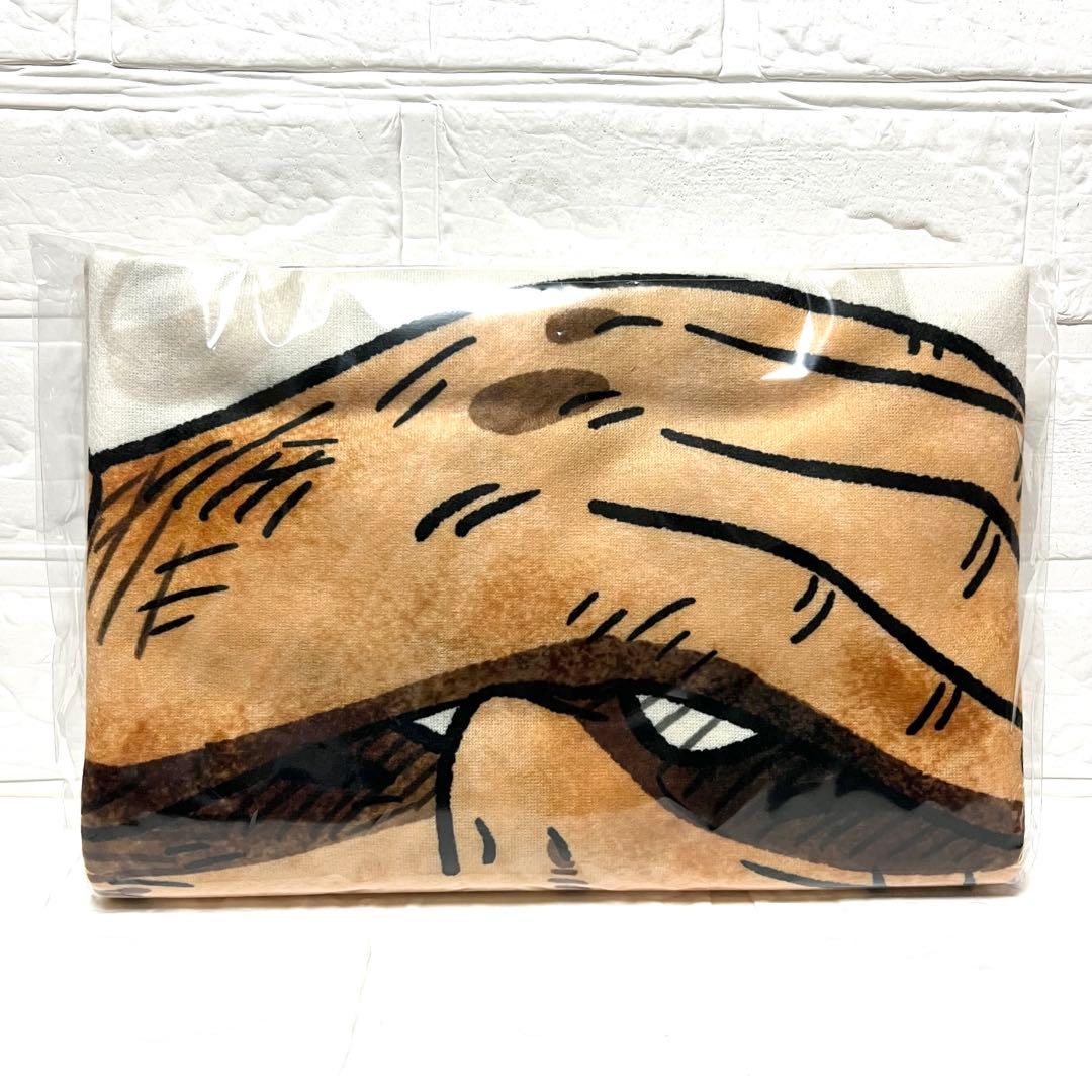 ワンピース ONE PIECE モンキー・D・ルフィ 手配書ブランケット ニカ