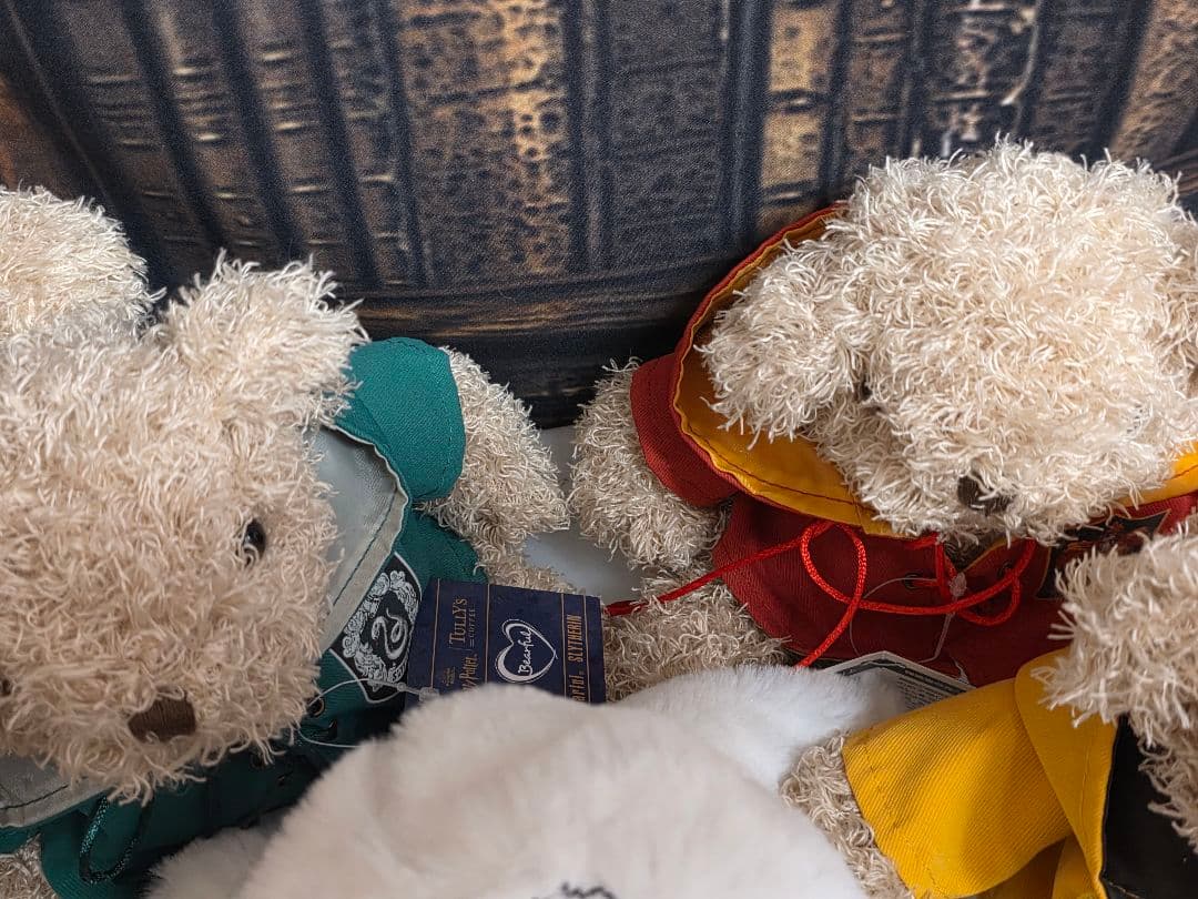 ハリー・ポッター　タリーズ