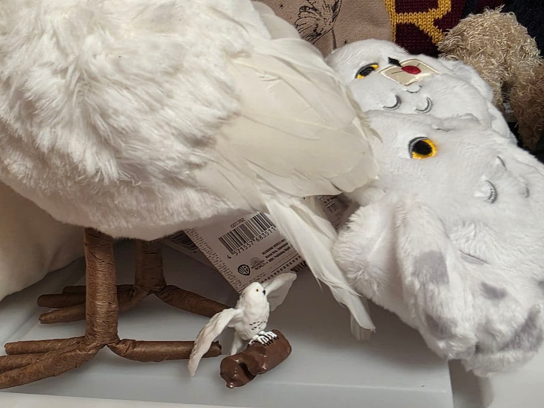 ハリー・ポッター　タリーズ