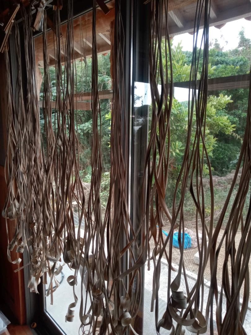 ハワイ産沖縄育ちのラウハラロール“25Craft-Ⅹ” - メルカリ