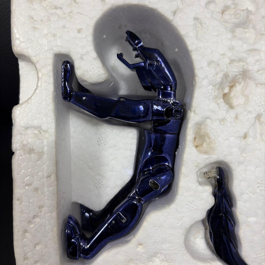 聖闘士聖衣大系 イプシロンローブ イプシロン星アリオトのフェンリル神闘衣