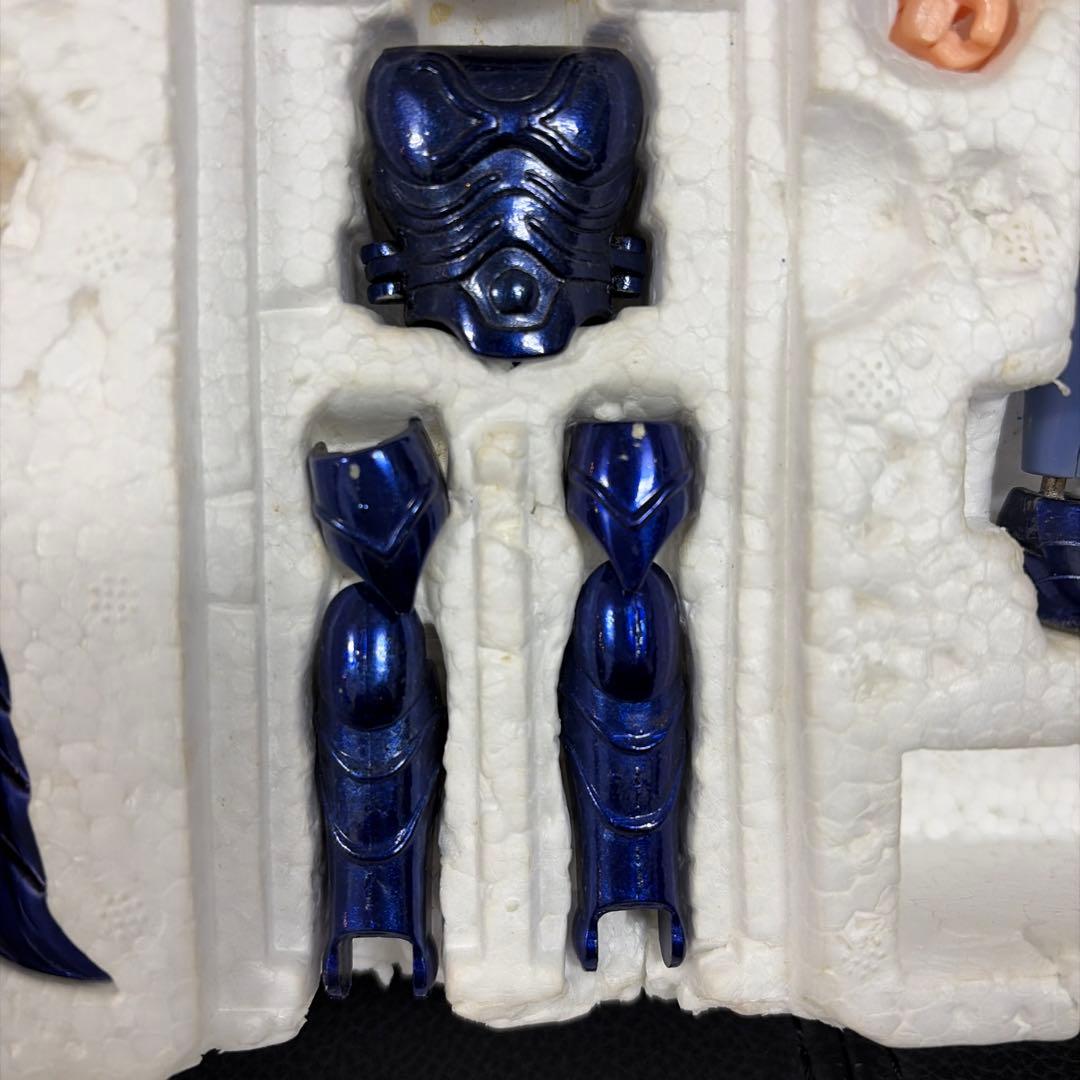 聖闘士聖衣大系 イプシロンローブ イプシロン星アリオトのフェンリル神闘衣