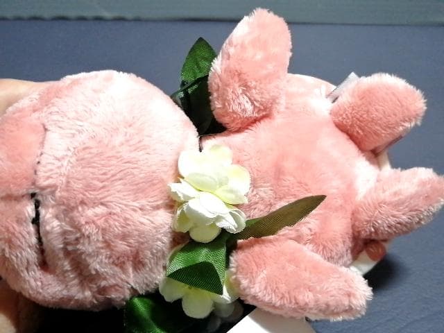 新品タグ付 ロイヤルハワイアンホテル ホヌ 亀 ぬいぐるみ ハワイ