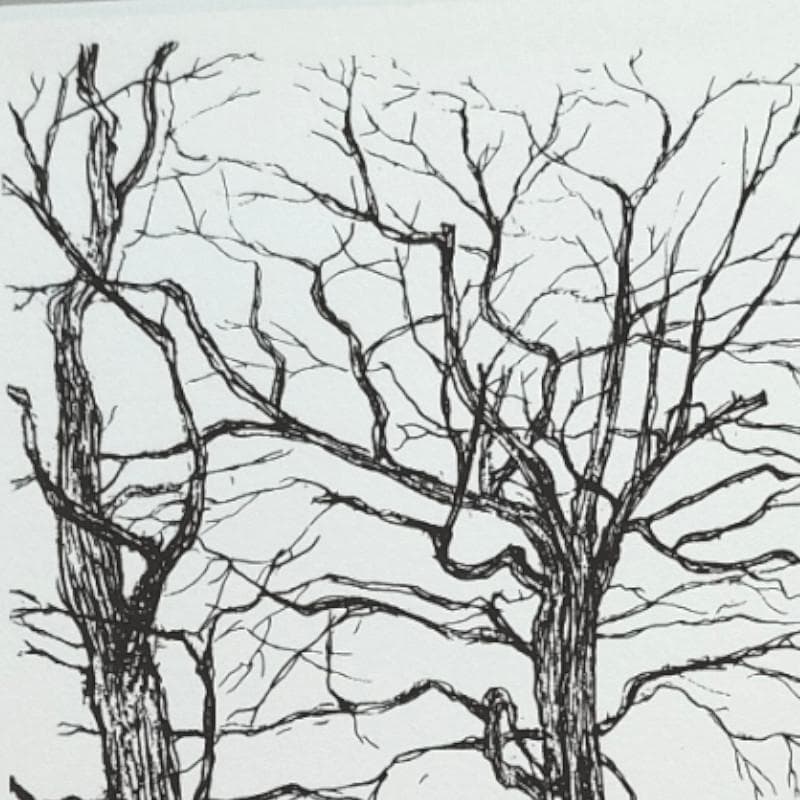 ☆福岡幸一☆「北大 にれの木」リトグラフ ed20/150 - メルカリ