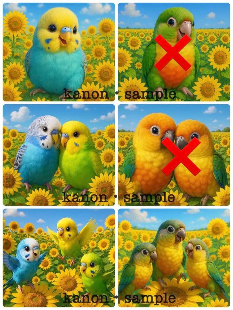 P234 パネル生地 セキセイインコ ウロコインコ 18×18 6枚1セット