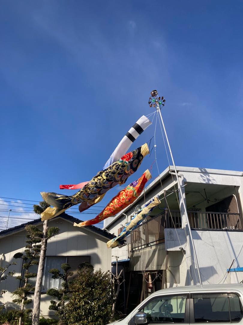 皇彩鯉4m 6点セット(吹流し青、緑鯉1.5m付)