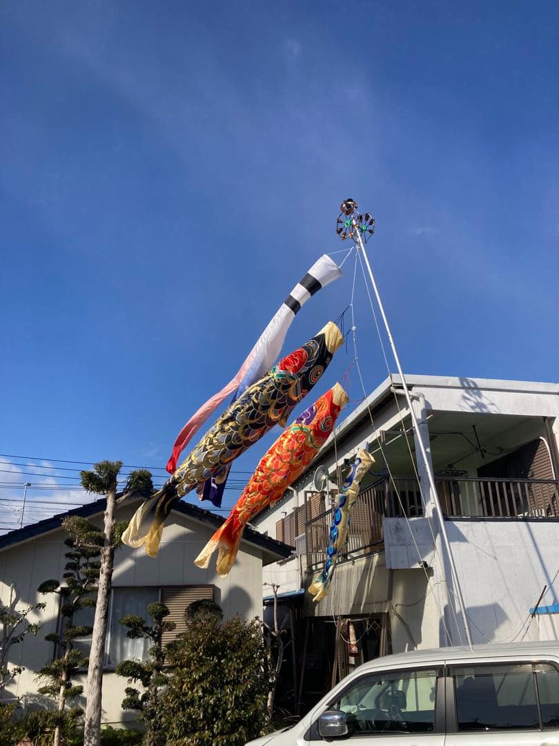 皇彩鯉4m 6点セット(吹流し青、緑鯉1.5m付)