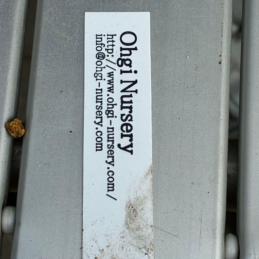 ま*ぎ様 3471☘️花、タグ付き☘️⭐️ポーセリン⭐️繊細柄⭐️小輪⭐️渋葉⭐