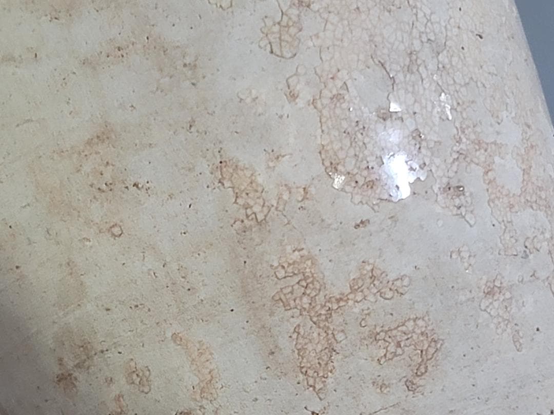 中国美術 遼白磁 纏龍貼 瓶 時代物 DT243