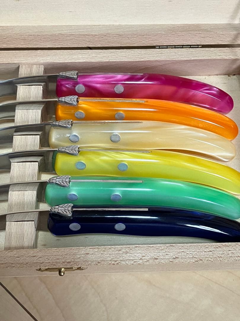 CLAUDE DOZORME ヨール ラギオール カトラリー セット