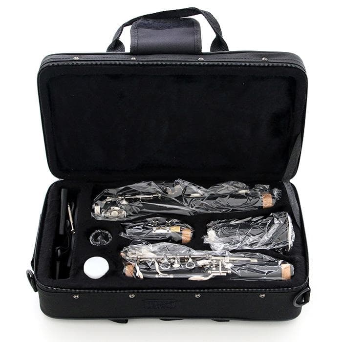 新品 未使用 送料無料 クラリネット セット 予備 リード付