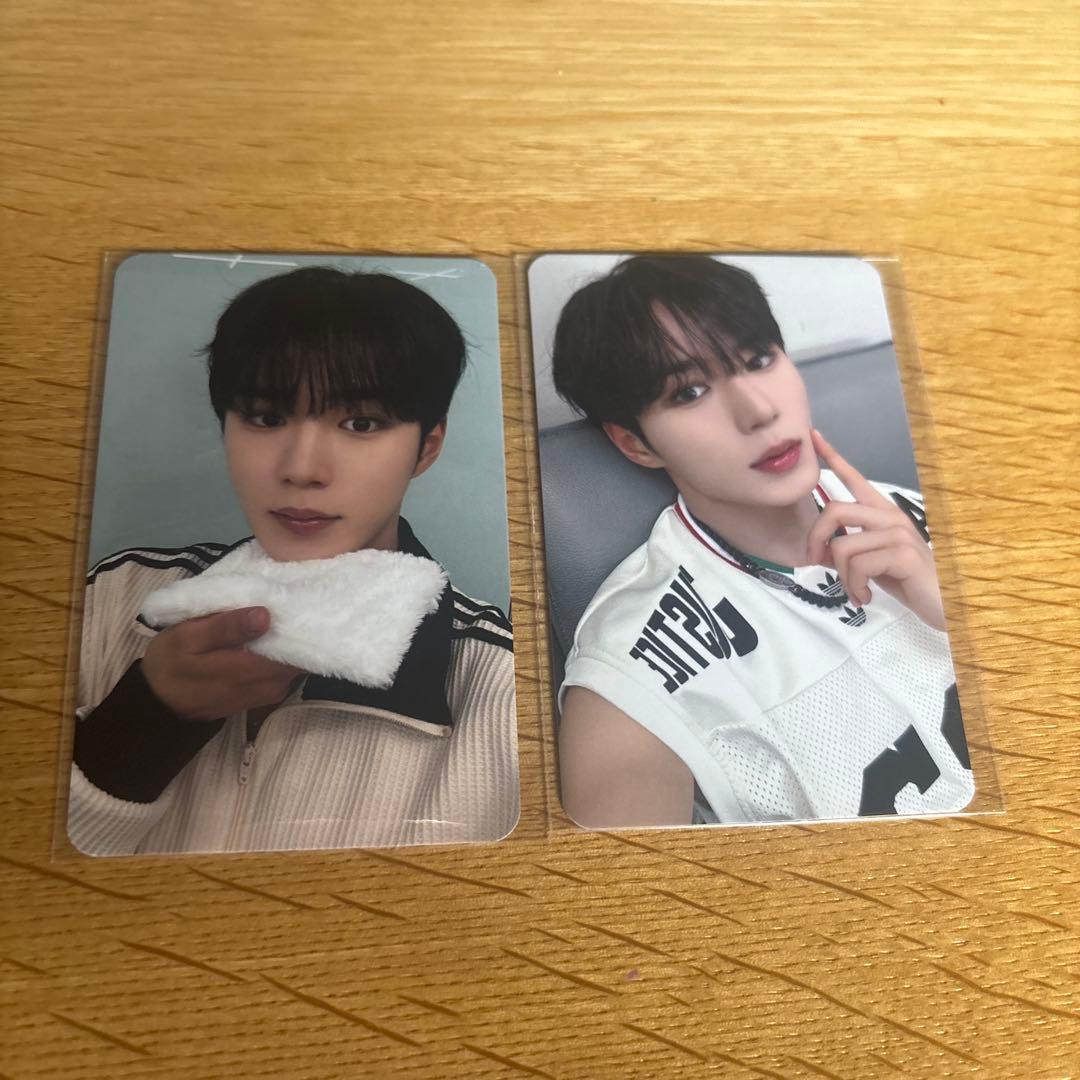 ALD1 ジュンソ トレカ B ショーケース 応募特典 euphoria カイロ